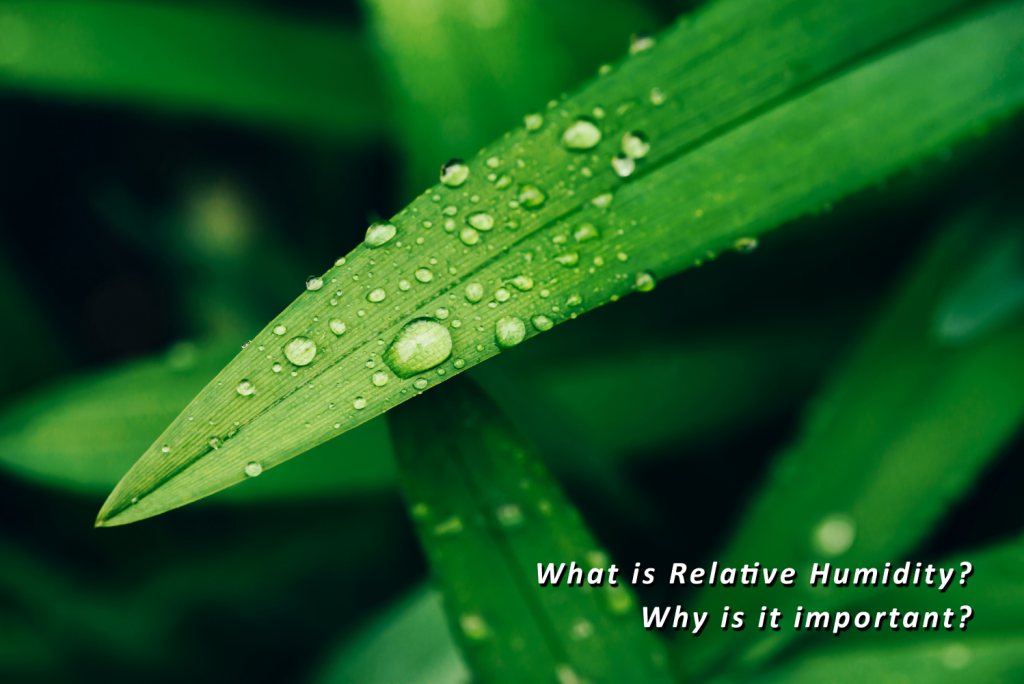 what-is-relative-humidity-and-why-do-we-need-to-measure